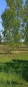Działka rolna 2,20 ha w Rostkach-3