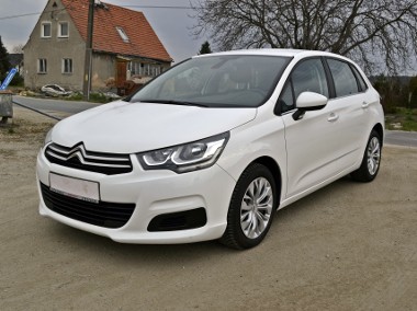 Ledy/Książka/Zadbany-1