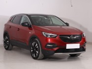 Opel Inny Opel , Salon Polska, 1. Właściciel, Serwis ASO, Automat, VAT 23%,