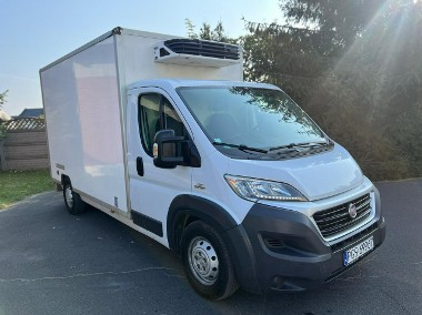 Fiat Ducato Fiat Ducato Chłodnia Klima LED Zarejestrowany 3.0-1