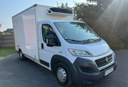 Fiat Ducato Fiat Ducato Chłodnia Klima LED Zarejestrowany 3.0