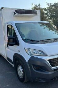 Fiat Ducato Fiat Ducato Chłodnia Klima LED Zarejestrowany 3.0-2