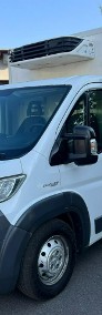 Fiat Ducato Fiat Ducato Chłodnia Klima LED Zarejestrowany 3.0-4