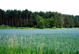 Działka usługowa Zalasewo