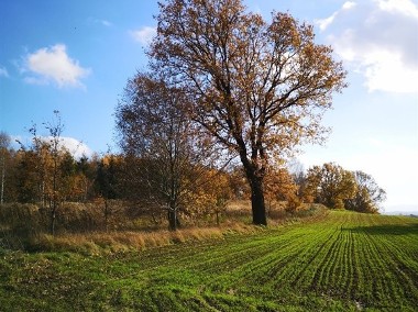 Działka budowlana w Lubaniu-1