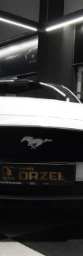 Ford Mustang VI 5.0 V8 / Salon PL / VAT23% / I Wł / Navi-3