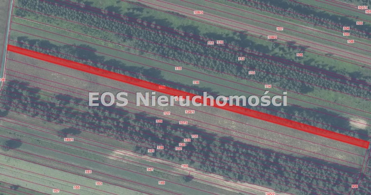 Działka na sprzedaż, 16965 m², Chotcza Gniazdków - Widok 4