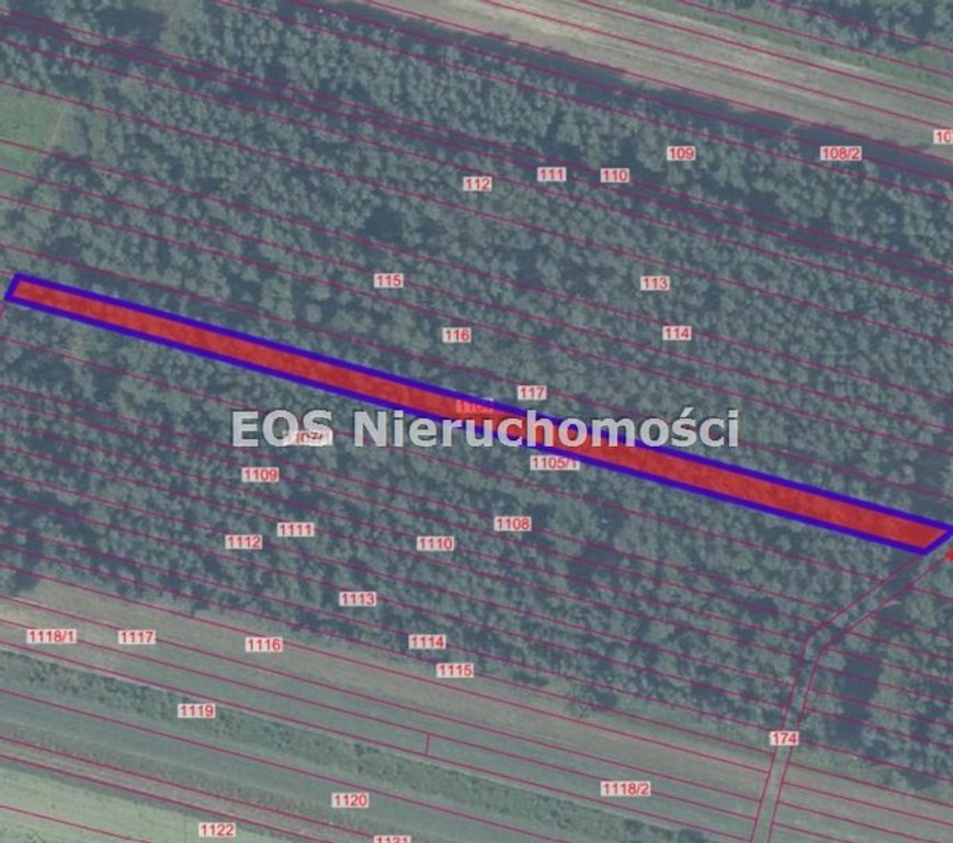 Działka na sprzedaż, 16965 m², Chotcza Gniazdków - Więcej