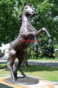 Imponujący Mega Koń- Rumak z brązu naturalnej wielkości 230cm-2