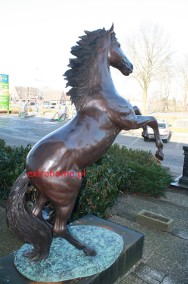 Imponujący Mega Koń- Rumak z brązu naturalnej wielkości 230cm-3