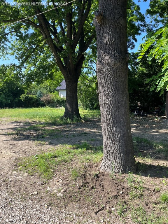 Białołęka Dworska, dz. 1000 m², MPZP, mieszkaniowa - Widok 3
