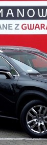 Lexus NX NX 14- SALON POLSKA: wersja Comfort+Navi AWD z gwar. fabr. do X-2021-3