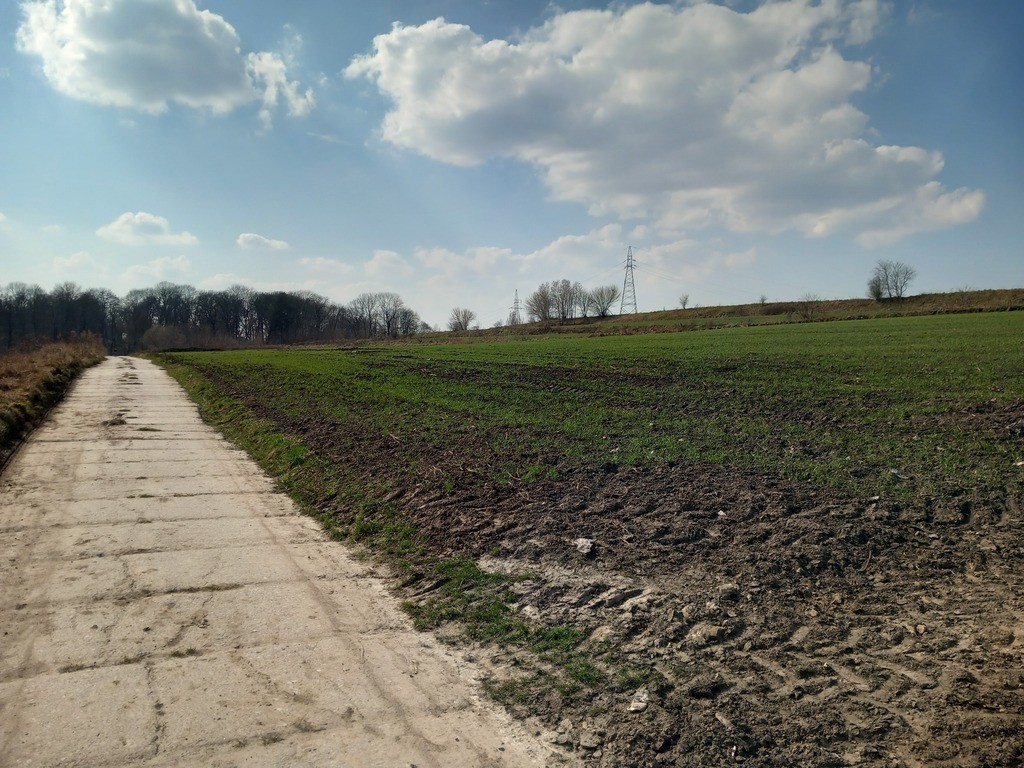 Jakubowice Murowane, gm. Wólka-działka 6600 m² - Widok 2