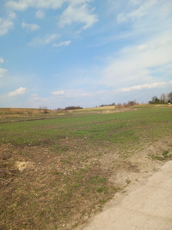 Jakubowice Murowane, gm. Wólka-działka 6600 m² - Widok 3