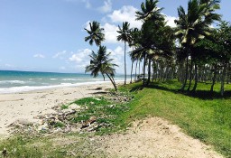 Działka inna Río San Juan, Dominican Republic