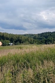 Dzialka rolno-budowlana na sprzedaz, Januszkowice 1,3 ha, 158 000 zl        -2