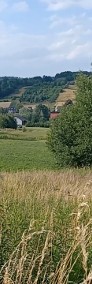 Dzialka rolno-budowlana na sprzedaz, Januszkowice 1,3 ha, 158 000 zl        -4