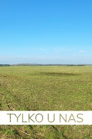 Działka rolna 4,87 ha w Długiej Goślinie-2
