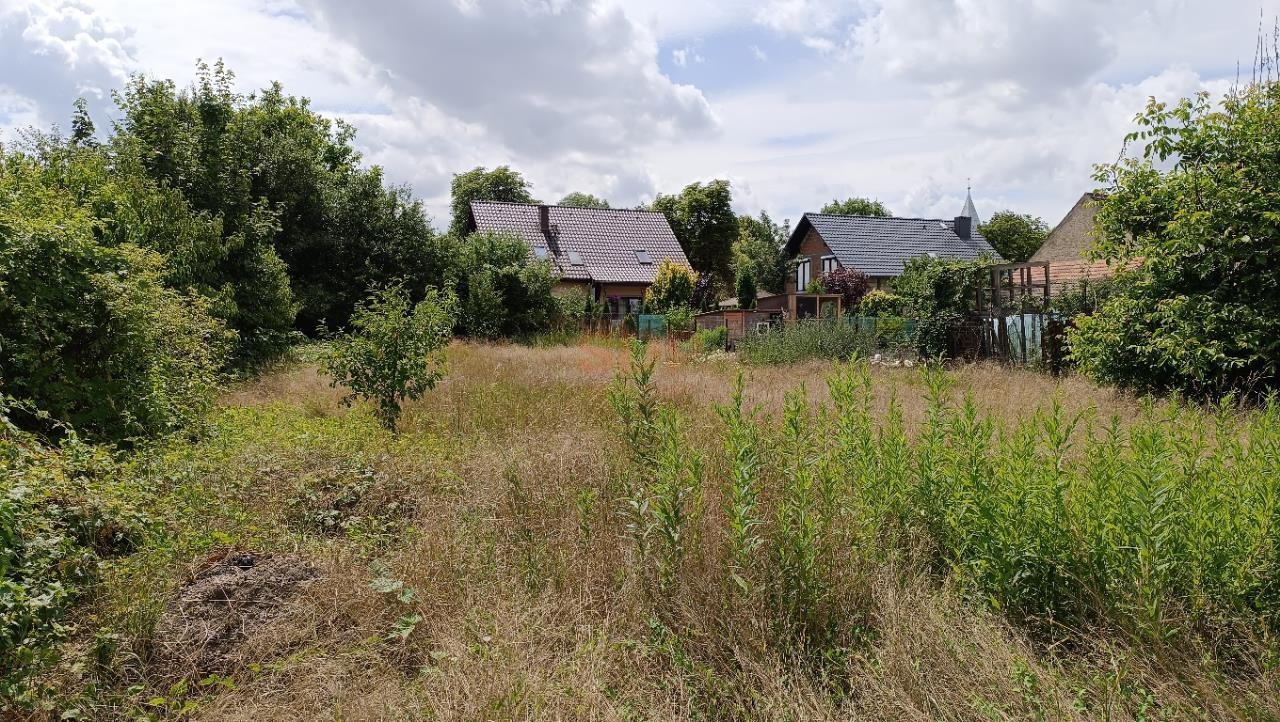 Kotowice, 1600 m² z domem, woda, prąd, poma ciepła - Widok 3