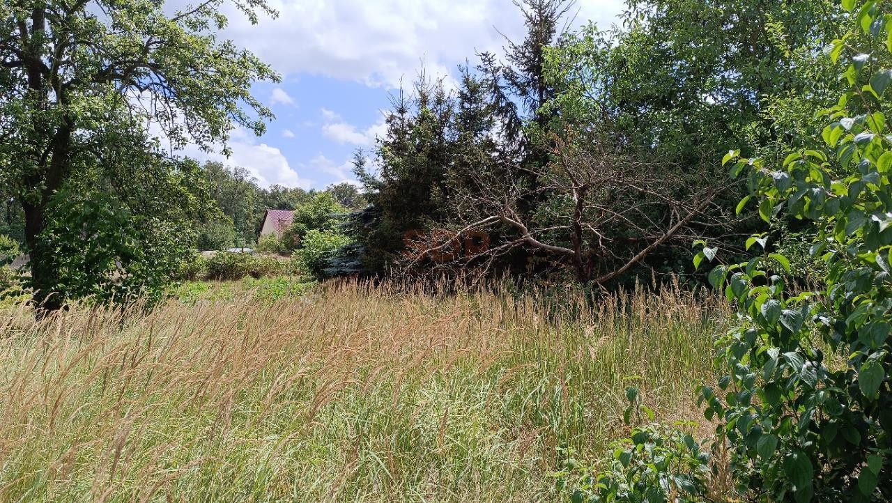 Kotowice, 1600 m² z domem, woda, prąd, poma ciepła - Widok 4