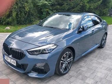 220i xDrive Edition Colorvision 178KM 2021r-1