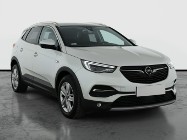 Opel Inny Opel , Salon Polska, 1. Właściciel, Serwis ASO, Automat, VAT 23%,