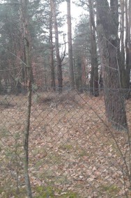 Działka leśna z prawem budowy Czekanka-2
