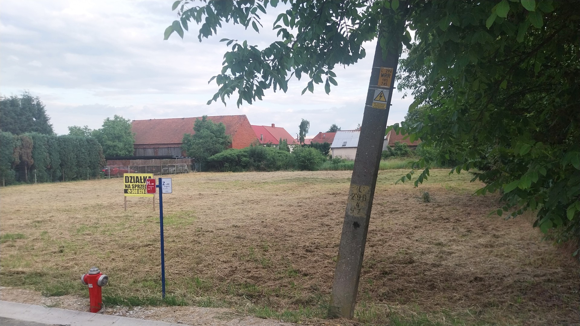 Działka w Lutyni - Widok 2