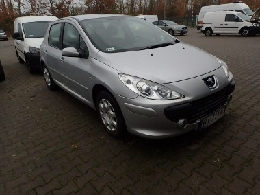 Peugeot 307 II-1