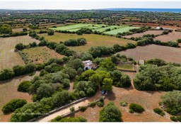 Dom Ciutadella De Menorca