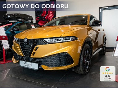 Alfa Romeo Stelvio 1.5 Veloce 1.5 Veloce (175 KM) Kamera 360-1