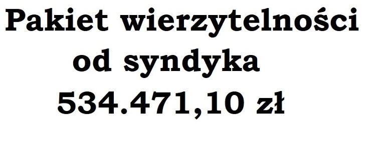 Syndyk sprzeda pakiet wierzytelności-1