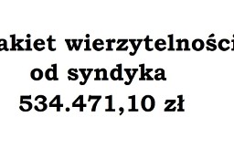 Syndyk sprzeda pakiet wierzytelności