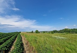 Działka inna Cianowice Cianowice Małe