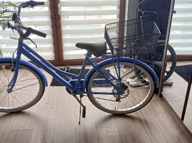 Damski rower-2