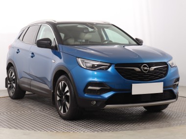 Opel , Salon Polska, Serwis ASO, Skóra, Navi, Klimatronic,-1