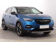 Opel Inny Opel , Salon Polska, Serwis ASO, Skóra, Navi, Klimatronic,