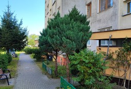 Mieszkanie 2-pokojowe, Choszczno, ul. Grunwaldzka