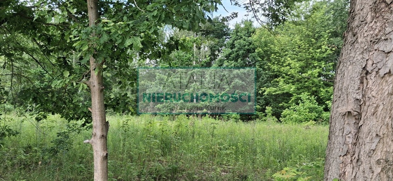 Działka budowlano- usługowa 1,5 km do S 8 - Widok 4