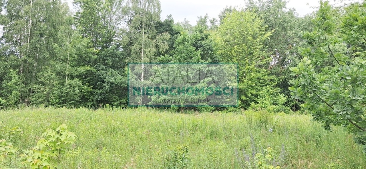 Działka budowlano- usługowa 1,5 km do S 8 - Widok 5