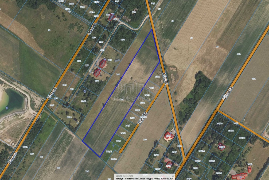 Działka na sprzedaż, 17981 m², Tarczyn Przypki - Widok 5
