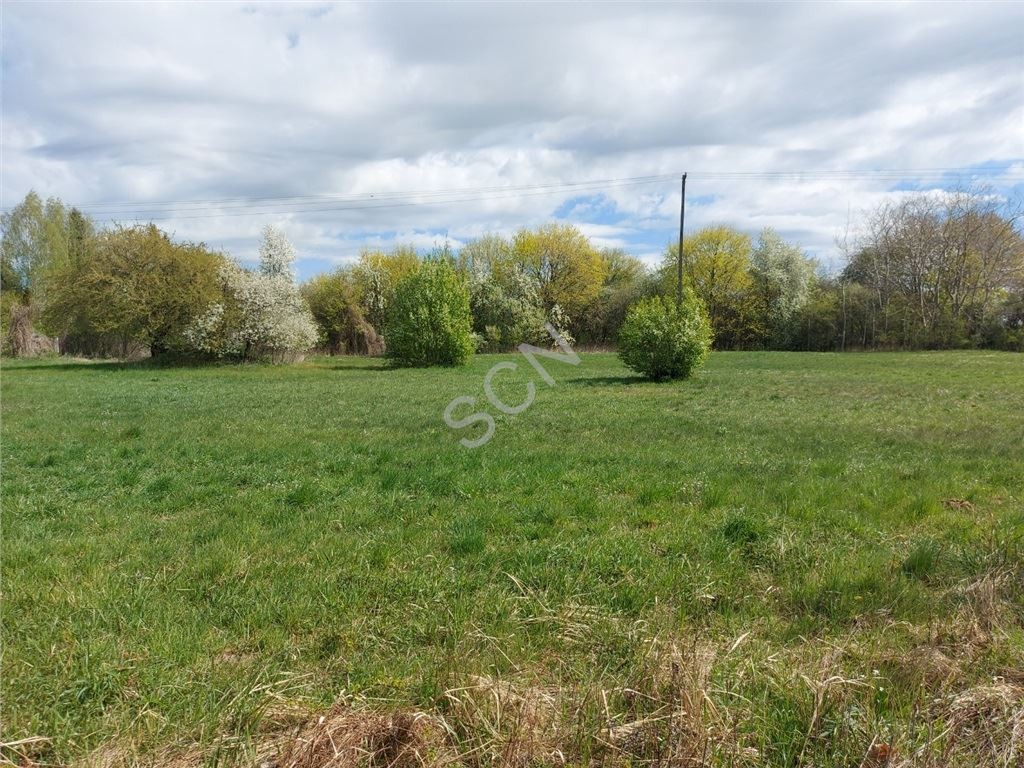 Działka na sprzedaż, 5900 m², Sobienie-Jeziory Dziecinów - Widok 3