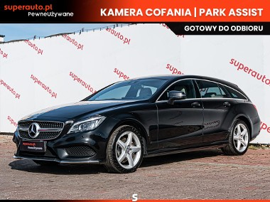 Mercedes-Benz Klasa CLS W218 350 BlueTEC 4-Matic CLS 350 BlueTEC 251KM 4-Matic-1