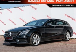 Mercedes-Benz Klasa CLS W218 350 BlueTEC 4-Matic CLS 350 BlueTEC 251KM 4-Matic