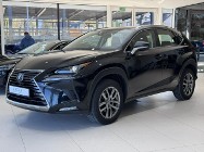 Lexus NX NX 14- 300h Business Edition 4x4, salon PL, navi, FV-23%, gwarancja, 1wł