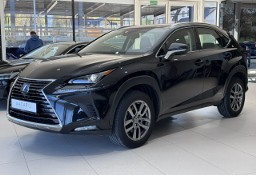 Lexus NX NX 14- 300h Business Edition 4x4, salon PL, navi, FV-23%, gwarancja, 1wł