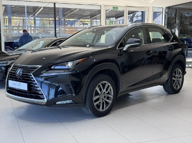 Lexus NX NX 14- 300h Business Edition 4x4, salon PL, navi, FV-23%, gwarancja, 1wł-1