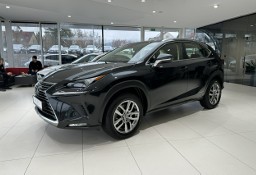 Lexus NX NX 14- 300h Business Edition 4x4, salon PL, navi, FV-23%, gwarancja, 1wł