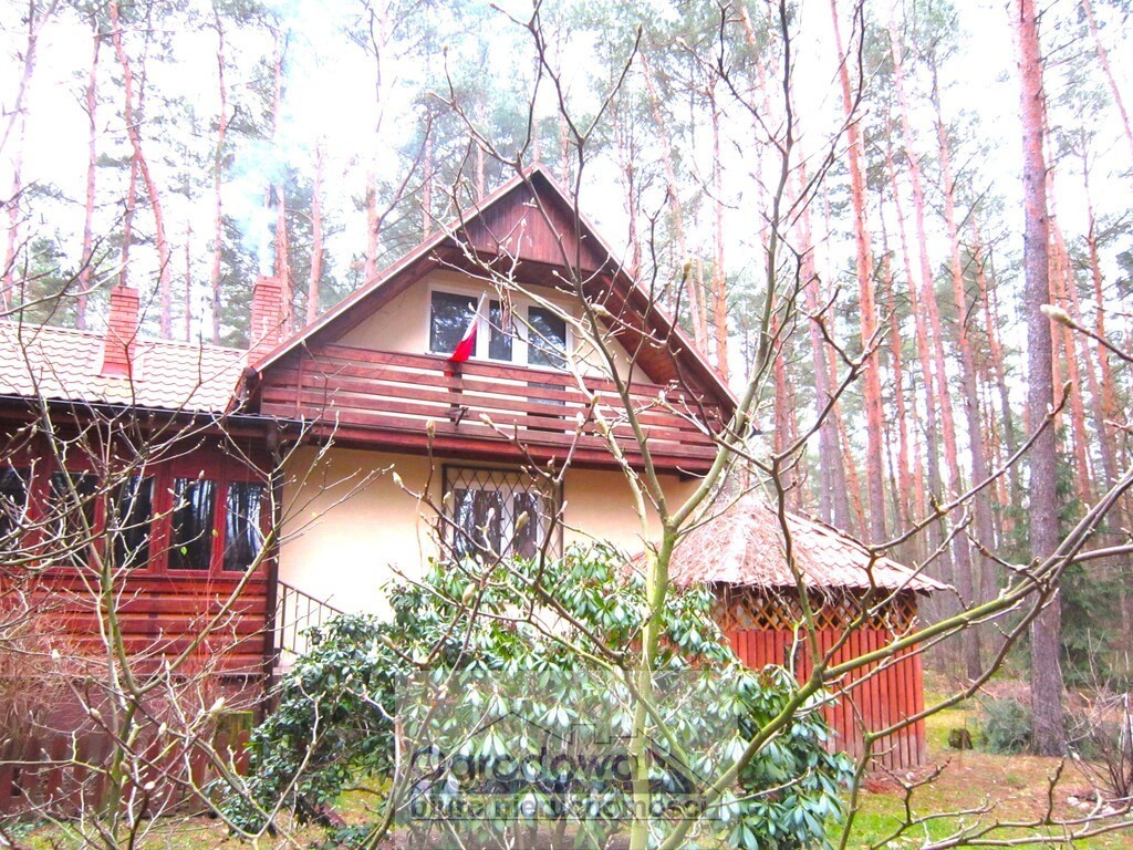 Nad Liwcem