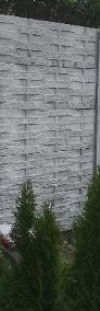 Ogrodzenie betonowe-3